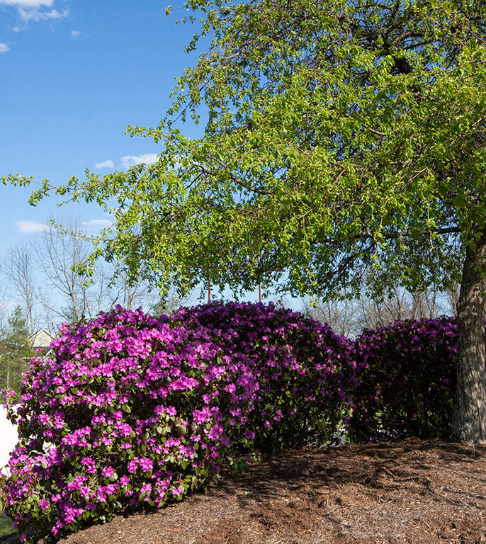 %_tempFileName20200503_0310w%