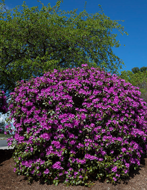 %_tempFileName20200504_0284w%