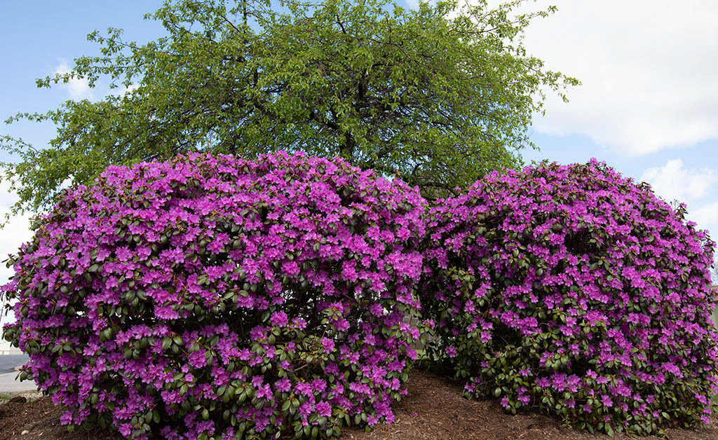 %_tempFileName20200504_0287w%