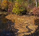 %_tempFileName20211024_0007w%