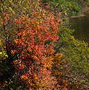 %_tempFileName20211024_0068w%