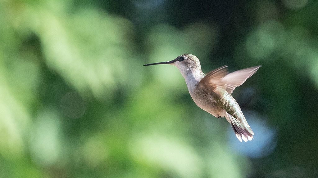 %_tempFileName20220814_0331w%