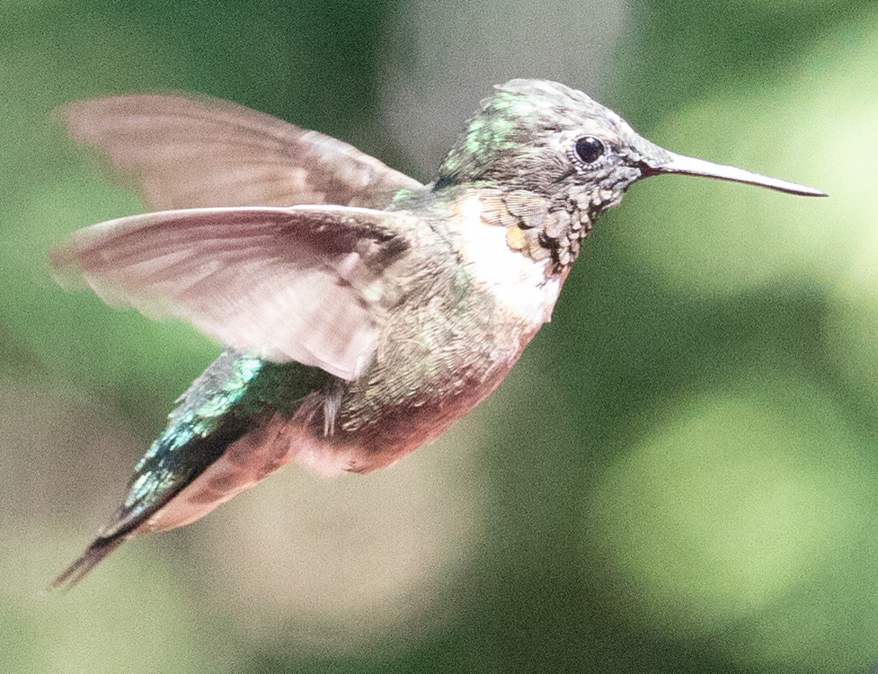 %_tempFileName20220816_0191w%