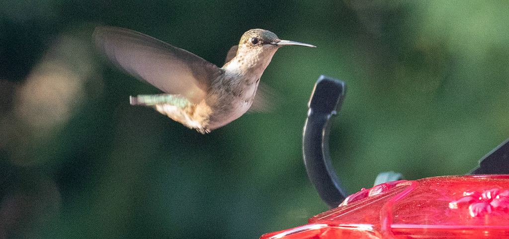 %_tempFileName20220816_0309w%