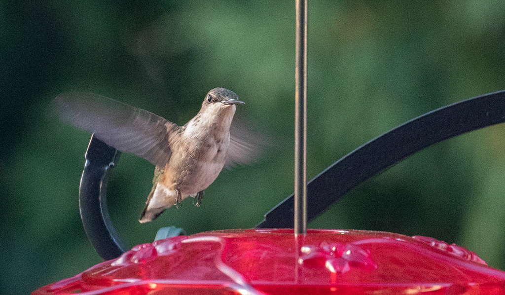 %_tempFileName20220816_0387w%