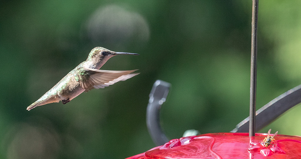 %_tempFileName20220820_0053w%