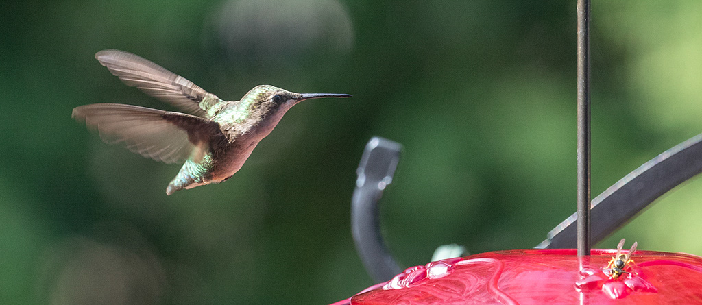 %_tempFileName20220820_0054w%