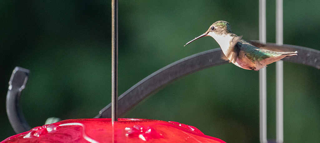 %_tempFileName20220820_0085w%