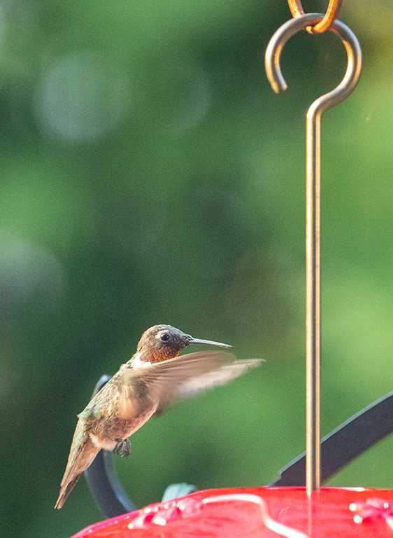 %_tempFileName20220820_0186w%