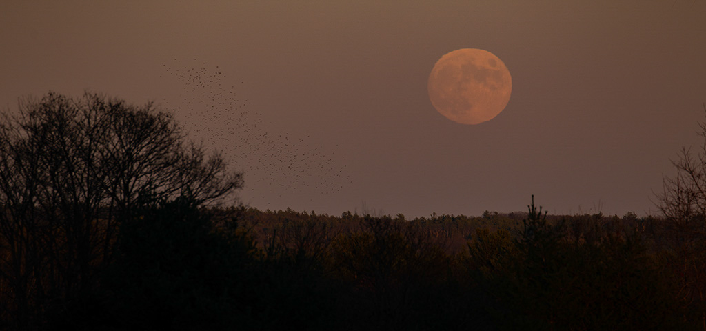 %_tempFileName20221107_0005w%