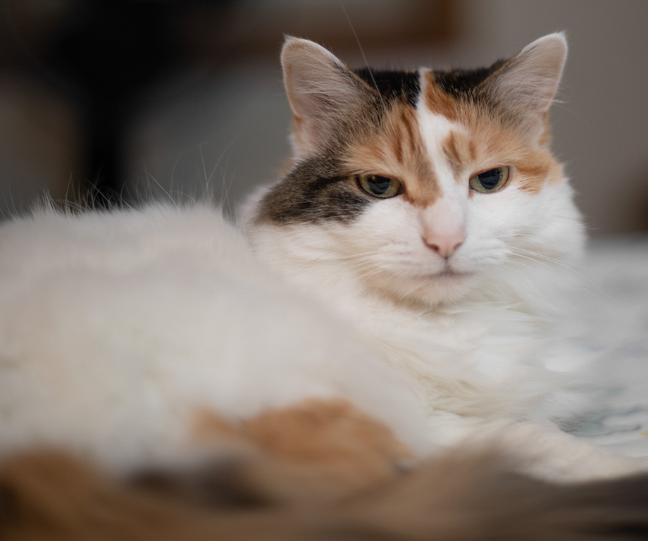 %_tempFileName20221123_0084w%