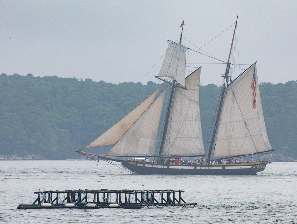 %_tempFileName20220811_0127w%