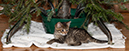 %_tempFileName20231208_2321w%