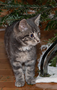 %_tempFileName20231208_2325w%
