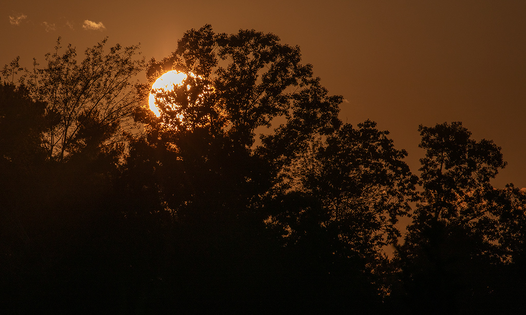 20230720_1078w
