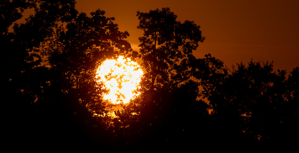 20230720_1089w