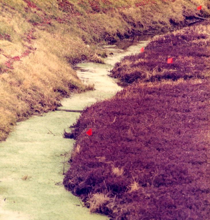 %_tempFileName1987_024%