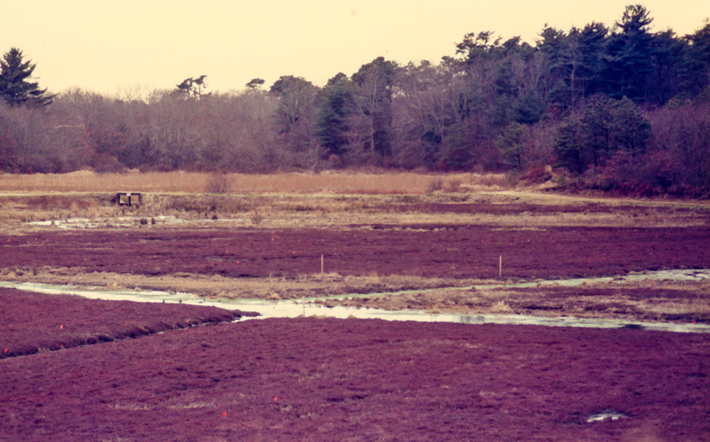 %_tempFileName1987_041%