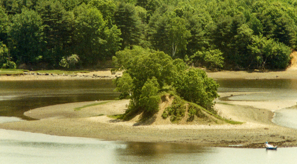 %_tempFileNameimg797w%