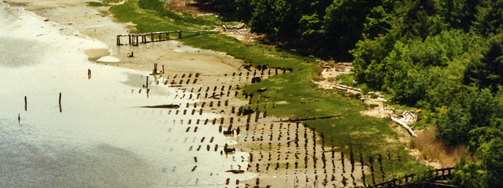 %_tempFileNameimg799w%