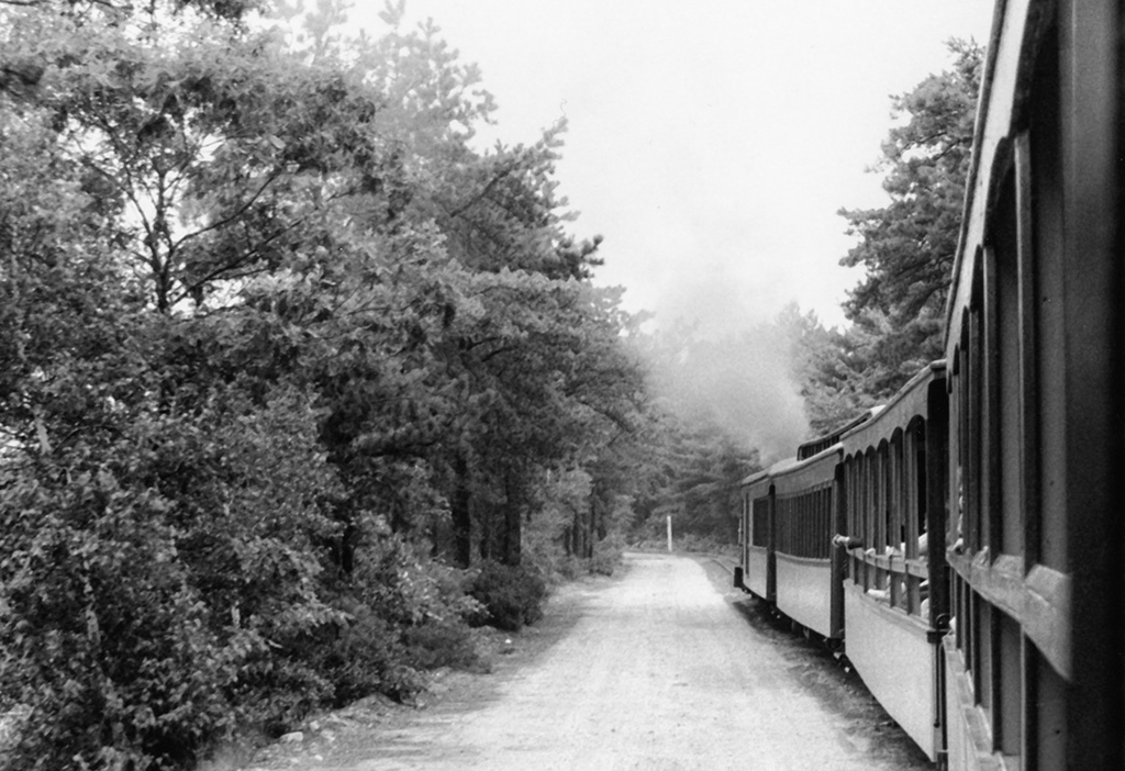 %_tempFileNameimg834w%