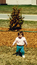 %_tempFileName1993_2_003w%