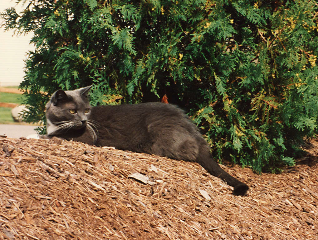 %_tempFileName94c_012w%