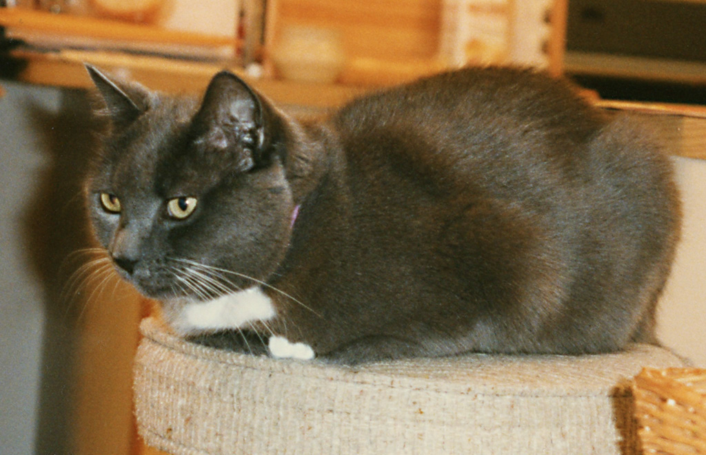 %_tempFileName96_5_175w%