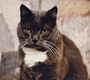 %_tempFileName97-1_Scan20016w%