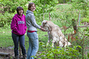 %_tempFileName20130526_028%