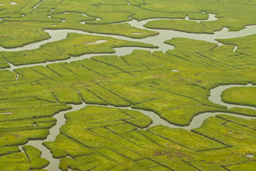 %_tempFileName2011_8_026%