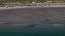 %_tempFileName20150725_6586w%