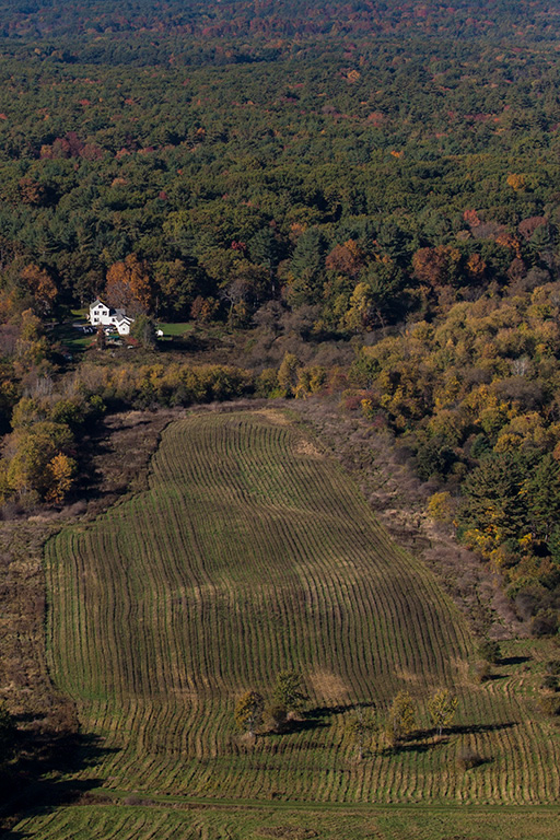 %_tempFileName20141013_0246w%