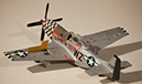 %_tempFileNameNorth%20American%20P-51D%20Mustang%