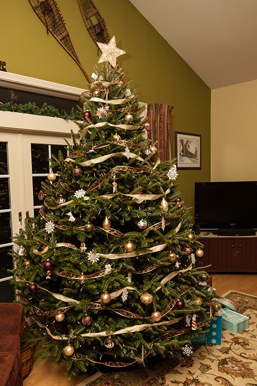 %_tempFileName20121224_1568w%