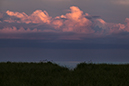 %_tempFileName20140726_8852w%