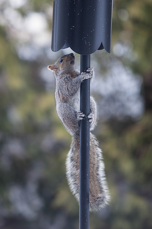 %_tempFileName20150320_1260w%