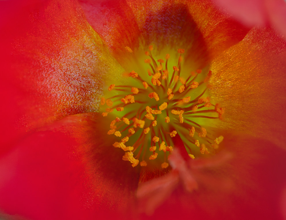 %_tempFileName20150622_4545w%