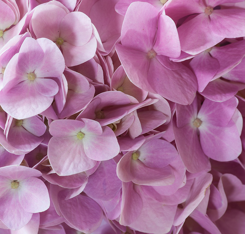 %_tempFileName20150830_7719w%