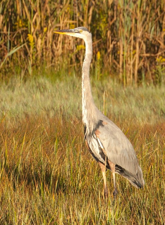 %_tempFileName20150906_7873w%