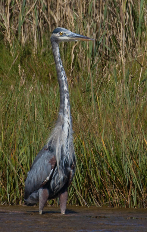 %_tempFileName20150906_7951w%