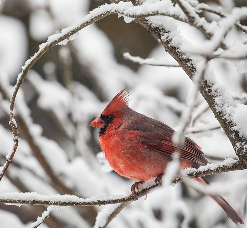 %_tempFileName20170118_4674w%