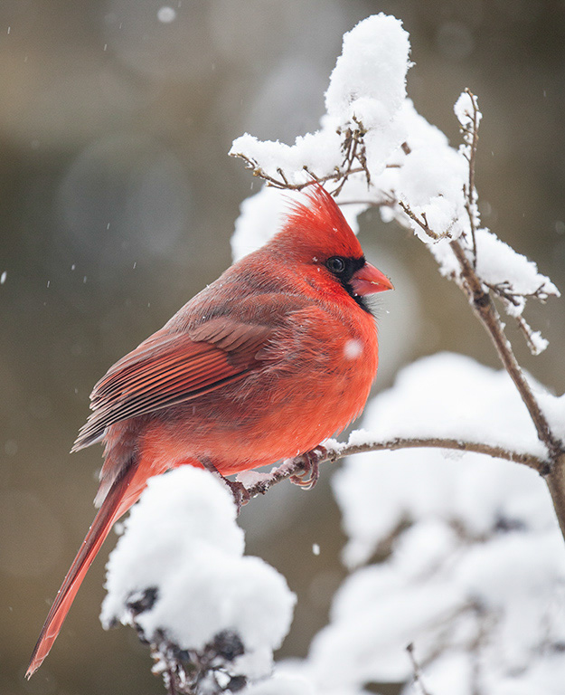 %_tempFileName20170118_4791w%