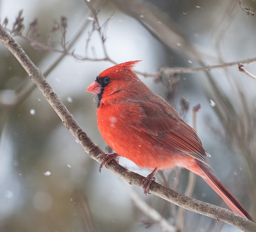 %_tempFileName20170213_4852w%