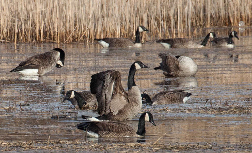 %_tempFileName20170301_4983w%