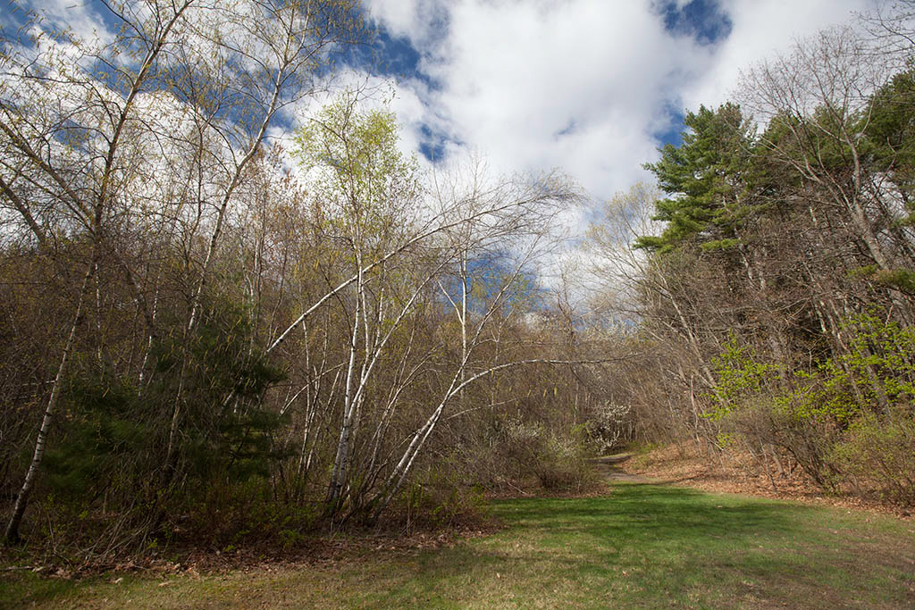 %_tempFileName20170503_0094w%