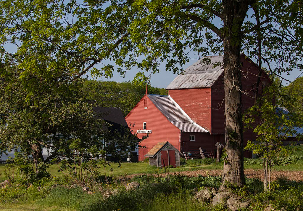 %_tempFileName20170519_0344w%