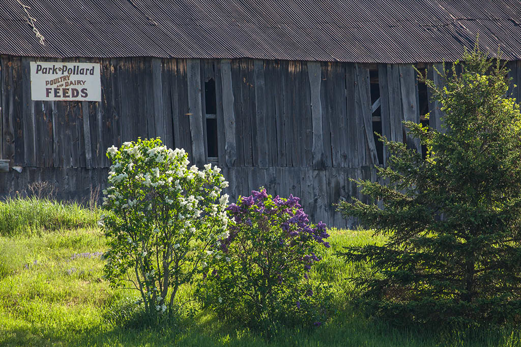 %_tempFileName20170519_0354w%