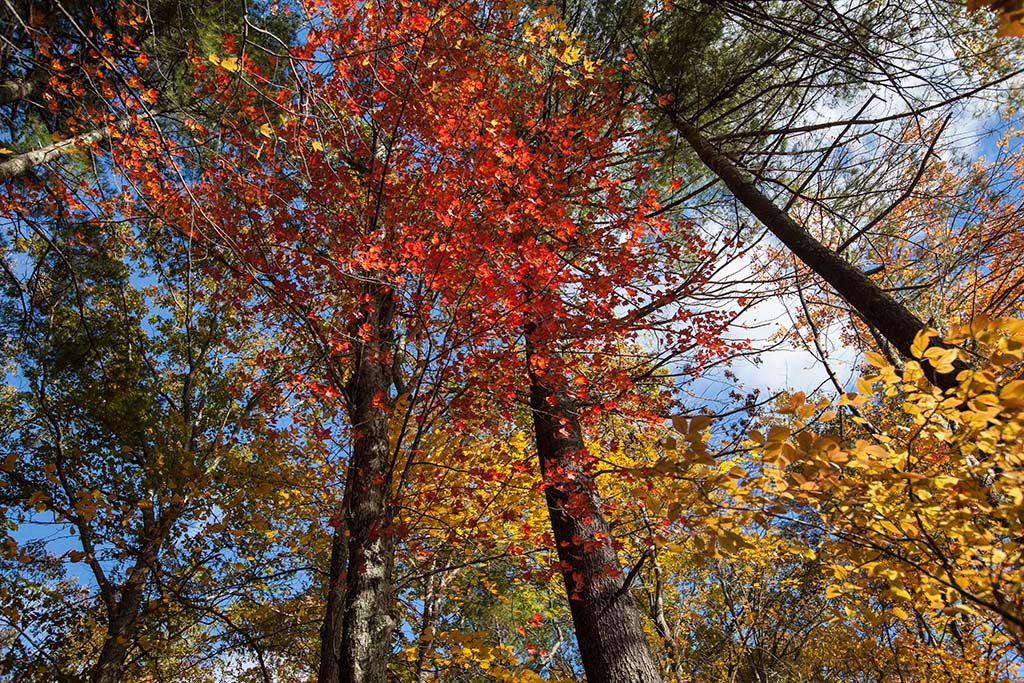 %_tempFileName20181030_0667w%