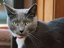 %_tempFileName2005_2_01%